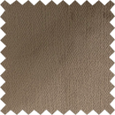 Pecan